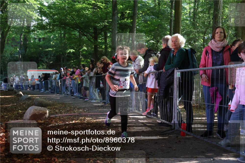 28.09.2025 - 33. Volkslauf durch das schöne Alstertal Strokosch-Dieckow http://msf.ph/oto/8960378 28.09.2025 10:48:49 Ziel 5036 meine-sportfotos.de