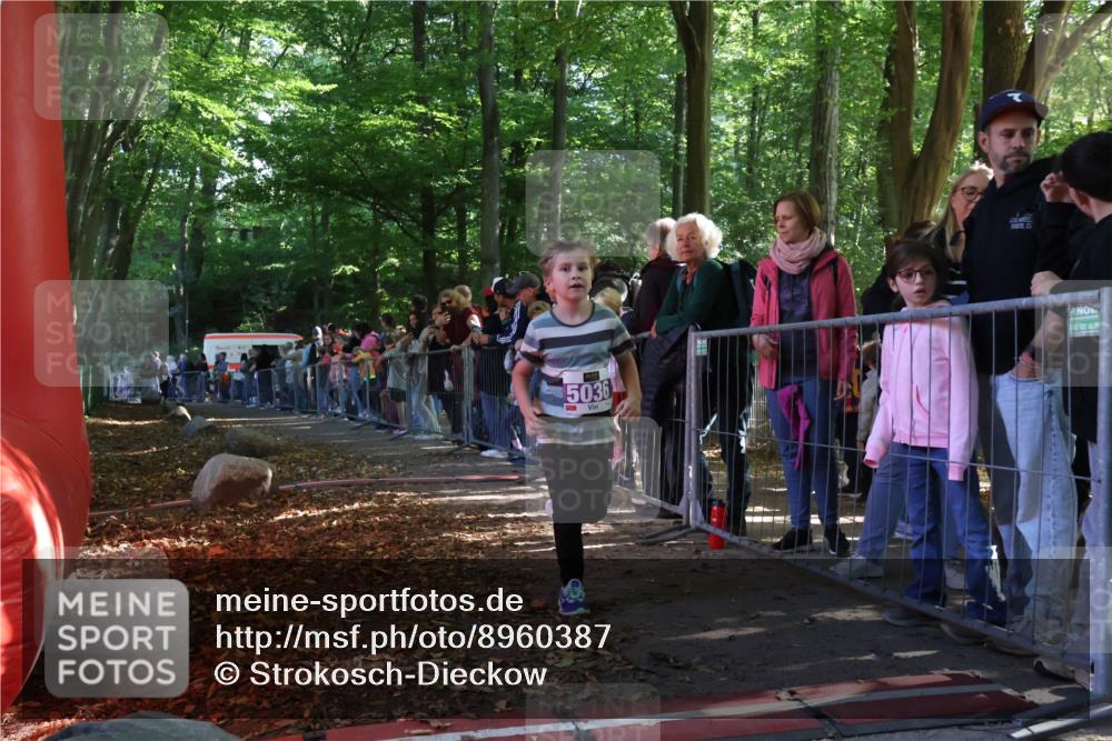 28.09.2025 - 33. Volkslauf durch das schöne Alstertal Strokosch-Dieckow http://msf.ph/oto/8960387 28.09.2025 10:48:50 Ziel 5036 meine-sportfotos.de