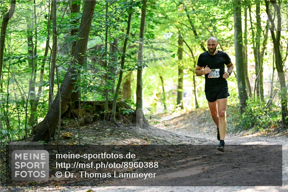 28.09.2025 - 33. Volkslauf durch das schöne Alstertal Dr. Thomas Lammeyer http://msf.ph/oto/8960388 28.09.2025 11:02:22 Laufen 3094 meine-sportfotos.de