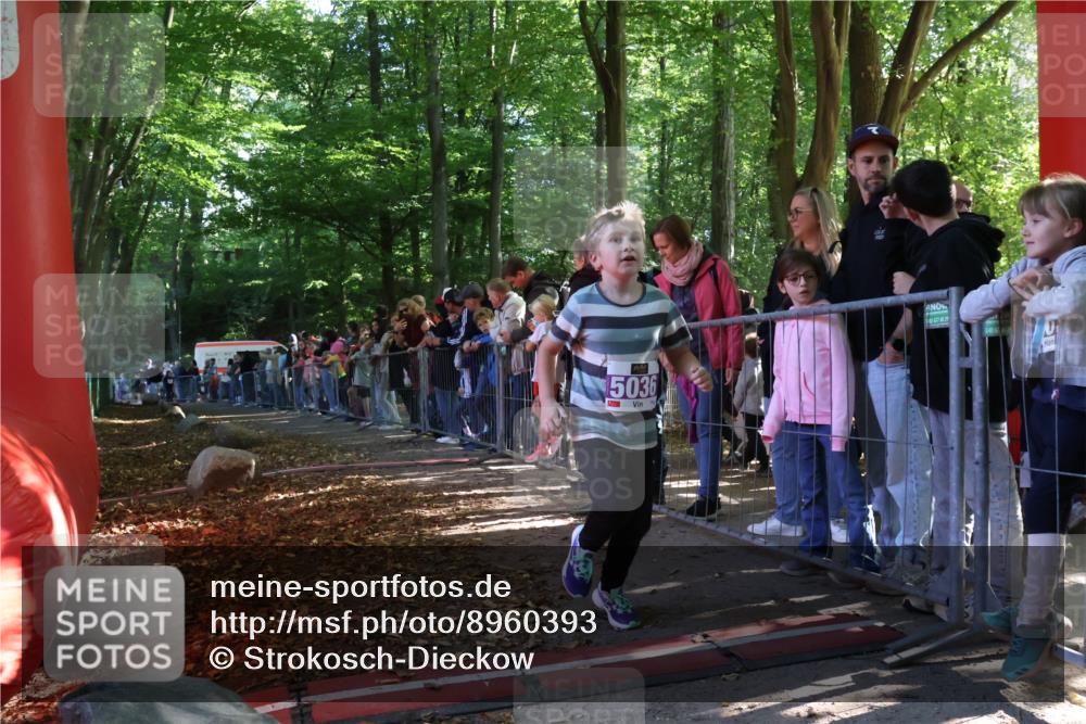 28.09.2025 - 33. Volkslauf durch das schöne Alstertal Strokosch-Dieckow http://msf.ph/oto/8960393 28.09.2025 10:48:50 Ziel 5036 meine-sportfotos.de