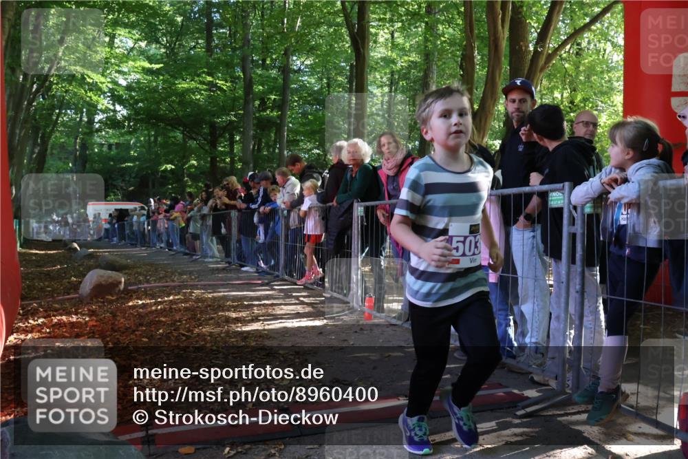 28.09.2025 - 33. Volkslauf durch das schöne Alstertal Strokosch-Dieckow http://msf.ph/oto/8960400 28.09.2025 10:48:50 Ziel 5036 meine-sportfotos.de