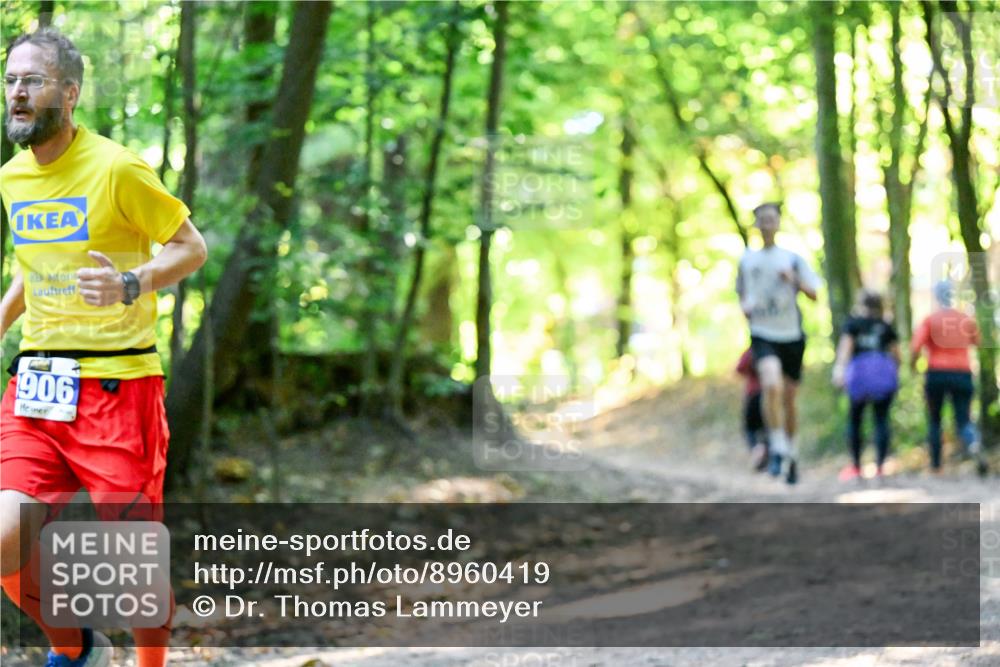 28.09.2025 - 33. Volkslauf durch das schöne Alstertal Dr. Thomas Lammeyer http://msf.ph/oto/8960419 28.09.2025 11:02:39 Laufen 906 meine-sportfotos.de
