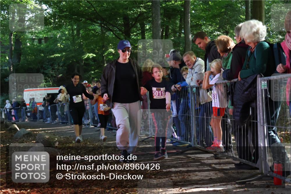 28.09.2025 - 33. Volkslauf durch das schöne Alstertal Strokosch-Dieckow http://msf.ph/oto/8960426 28.09.2025 10:49:03 Ziel 5019, 5966, 5968 meine-sportfotos.de
