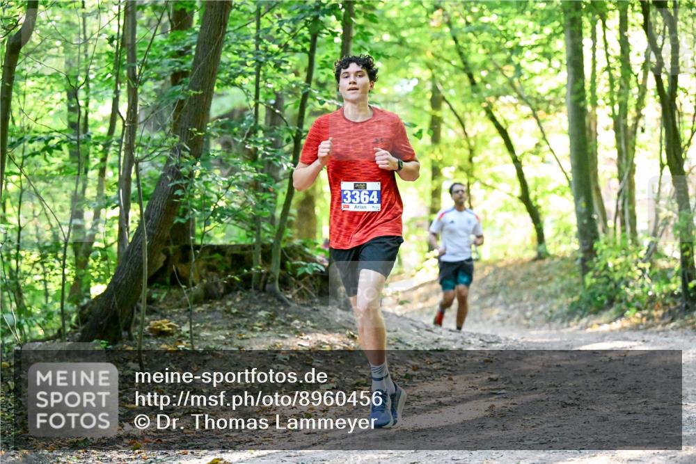 28.09.2025 - 33. Volkslauf durch das schöne Alstertal Dr. Thomas Lammeyer http://msf.ph/oto/8960456 28.09.2025 11:02:49 Laufen 22, 0, 3364 meine-sportfotos.de
