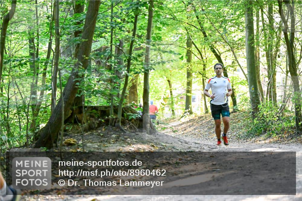 28.09.2025 - 33. Volkslauf durch das schöne Alstertal Dr. Thomas Lammeyer http://msf.ph/oto/8960462 28.09.2025 11:02:50 Laufen  meine-sportfotos.de