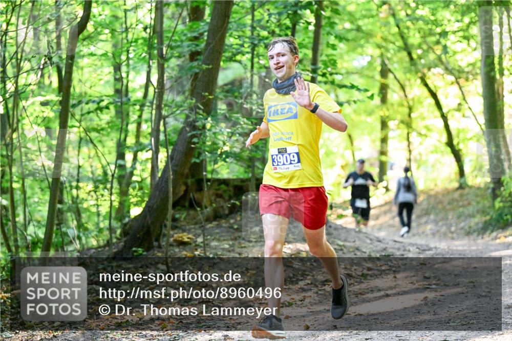 28.09.2025 - 33. Volkslauf durch das schöne Alstertal Dr. Thomas Lammeyer http://msf.ph/oto/8960496 28.09.2025 11:03:01 Laufen 3909 meine-sportfotos.de