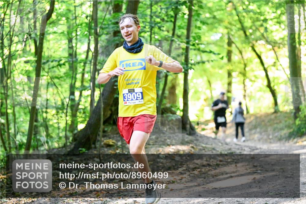 28.09.2025 - 33. Volkslauf durch das schöne Alstertal Dr. Thomas Lammeyer http://msf.ph/oto/8960499 28.09.2025 11:03:01 Laufen 3909 meine-sportfotos.de
