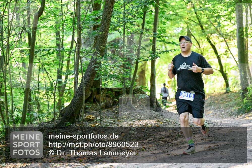 28.09.2025 - 33. Volkslauf durch das schöne Alstertal Dr. Thomas Lammeyer http://msf.ph/oto/8960523 28.09.2025 11:03:06 Laufen 3919 meine-sportfotos.de