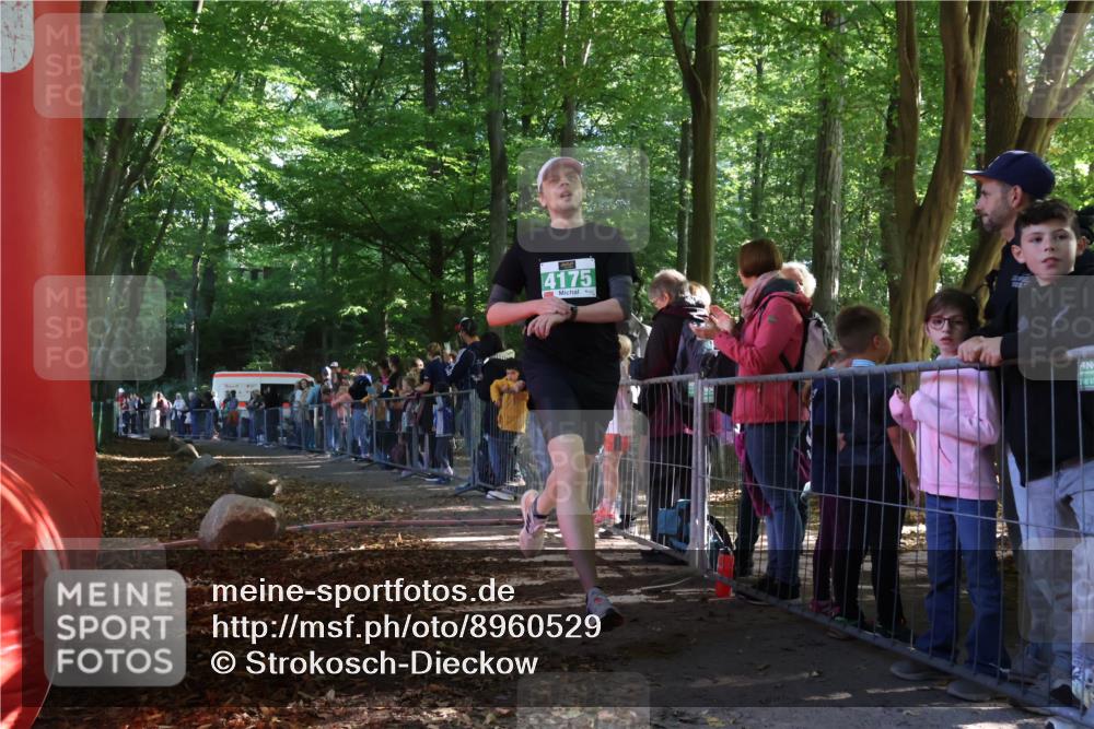 28.09.2025 - 33. Volkslauf durch das schöne Alstertal Strokosch-Dieckow http://msf.ph/oto/8960529 28.09.2025 10:49:33 Ziel 4175 meine-sportfotos.de