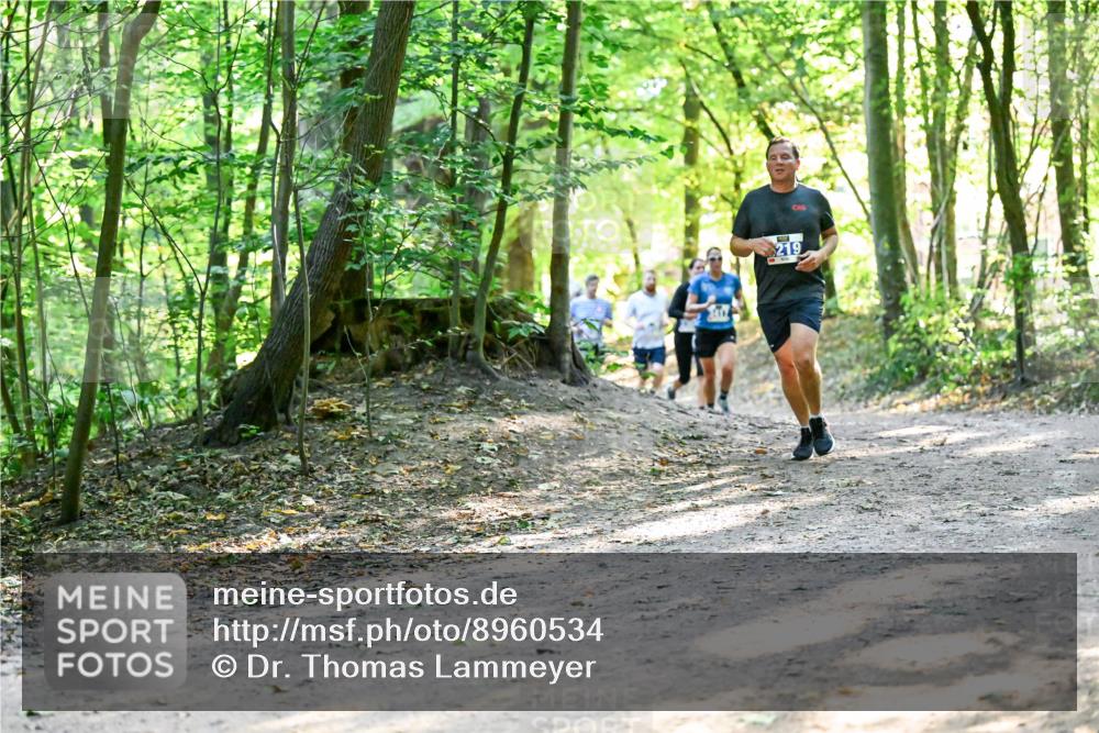 28.09.2025 - 33. Volkslauf durch das schöne Alstertal Dr. Thomas Lammeyer http://msf.ph/oto/8960534 28.09.2025 11:03:20 Laufen 219 meine-sportfotos.de