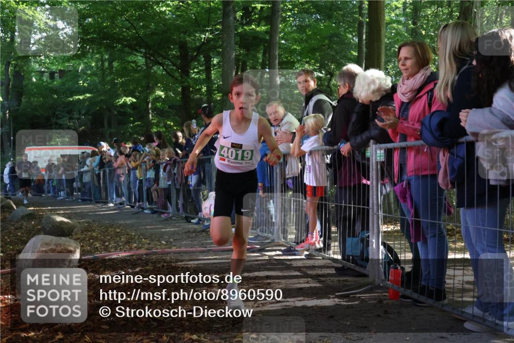 28.09.2025 - 33. Volkslauf durch das schöne Alstertal Strokosch-Dieckow http://msf.ph/oto/8960590 28.09.2025 10:50:09 Ziel 4019, 4161 meine-sportfotos.de