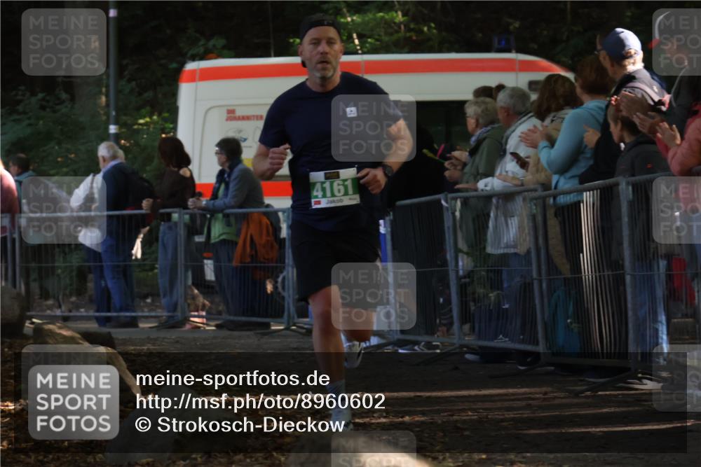 28.09.2025 - 33. Volkslauf durch das schöne Alstertal Strokosch-Dieckow http://msf.ph/oto/8960602 28.09.2025 10:50:11 Ziel 4161 meine-sportfotos.de