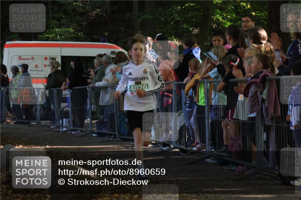 28.09.2025 - 33. Volkslauf durch das schöne Alstertal Strokosch-Dieckow http://msf.ph/oto/8960659 28.09.2025 10:50:26 Ziel 4020, 4021, 4022 meine-sportfotos.de