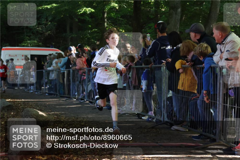 28.09.2025 - 33. Volkslauf durch das schöne Alstertal Strokosch-Dieckow http://msf.ph/oto/8960665 28.09.2025 10:50:27 Ziel 4020, 4021, 4022, 4146, 4164 meine-sportfotos.de