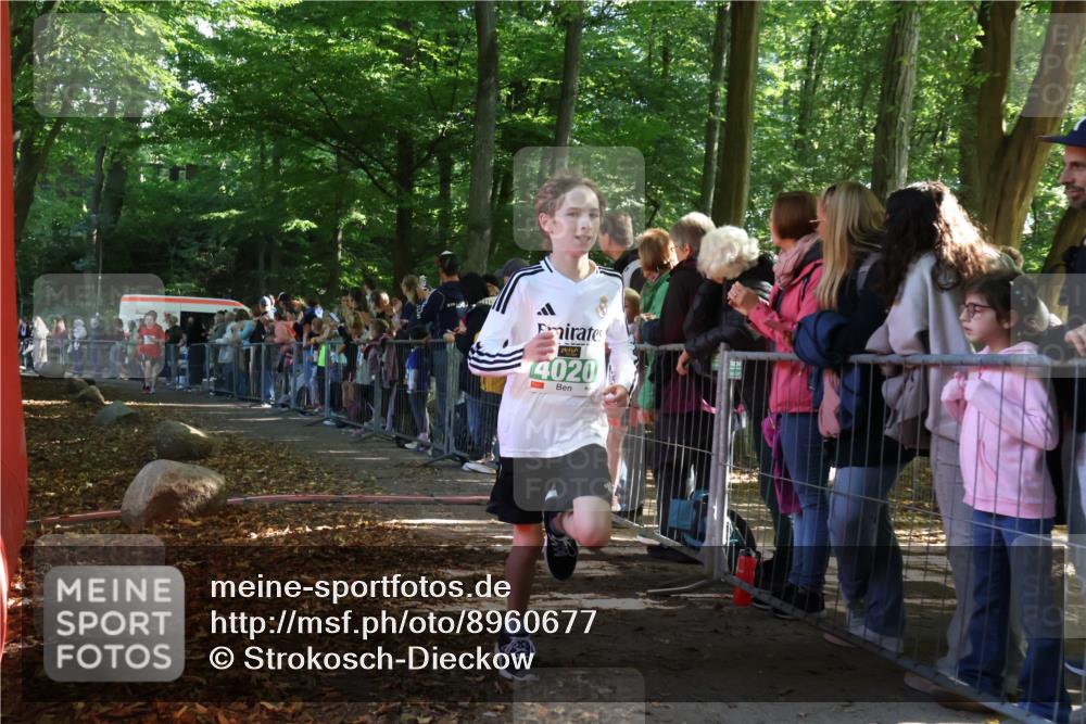 28.09.2025 - 33. Volkslauf durch das schöne Alstertal Strokosch-Dieckow http://msf.ph/oto/8960677 28.09.2025 10:50:28 Ziel 4020, 4021, 4022, 4146, 4164 meine-sportfotos.de