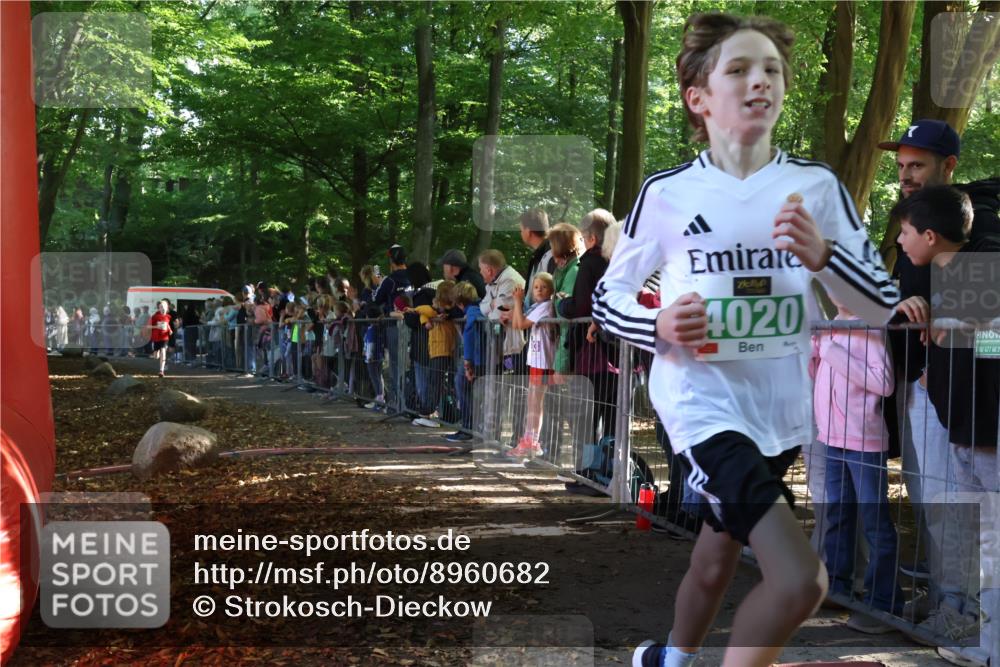 28.09.2025 - 33. Volkslauf durch das schöne Alstertal Strokosch-Dieckow http://msf.ph/oto/8960682 28.09.2025 10:50:28 Ziel 4020, 4021, 4022, 4146, 4164 meine-sportfotos.de