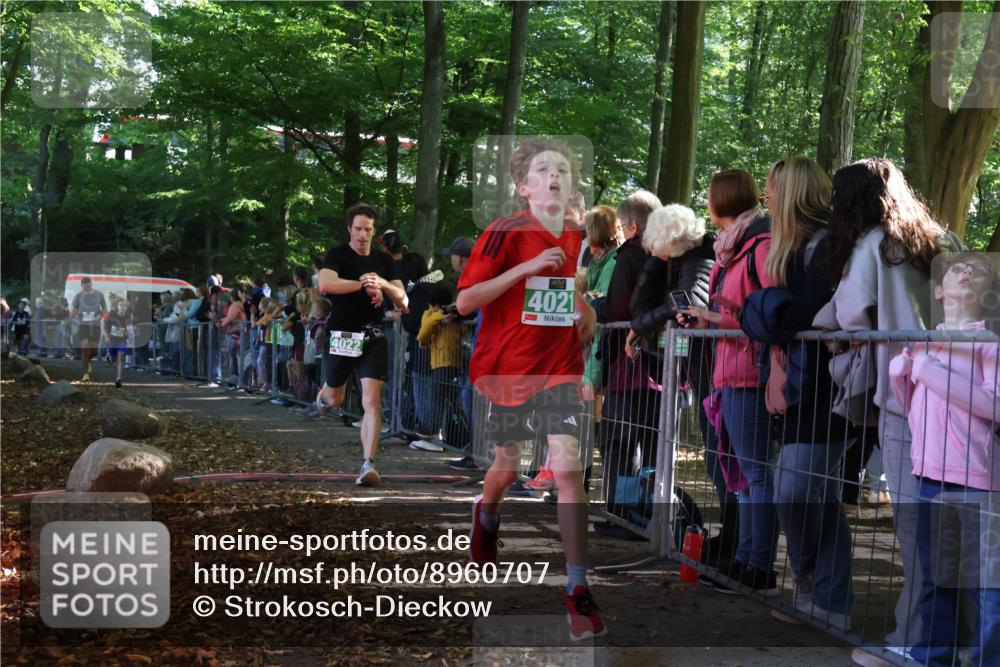 28.09.2025 - 33. Volkslauf durch das schöne Alstertal Strokosch-Dieckow http://msf.ph/oto/8960707 28.09.2025 10:50:32 Ziel 4021, 4022, 4146, 4164, 4902 meine-sportfotos.de