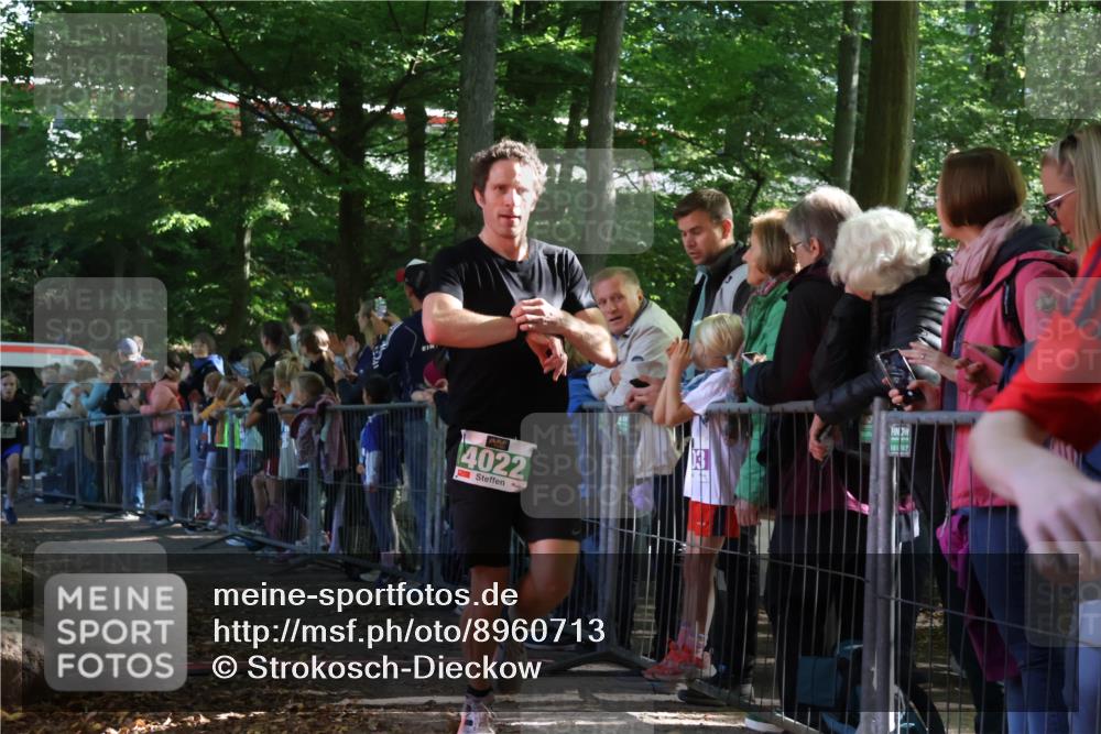 28.09.2025 - 33. Volkslauf durch das schöne Alstertal Strokosch-Dieckow http://msf.ph/oto/8960713 28.09.2025 10:50:33 Ziel 4021, 4022, 4146, 4164, 4902 meine-sportfotos.de
