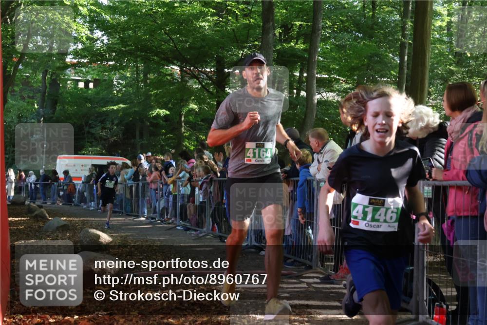 28.09.2025 - 33. Volkslauf durch das schöne Alstertal Strokosch-Dieckow http://msf.ph/oto/8960767 28.09.2025 10:50:37 Ziel 4146, 4164, 4902 meine-sportfotos.de
