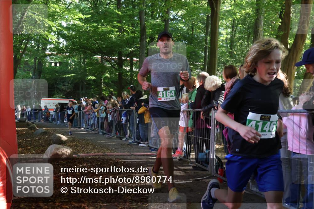 28.09.2025 - 33. Volkslauf durch das schöne Alstertal Strokosch-Dieckow http://msf.ph/oto/8960774 28.09.2025 10:50:37 Ziel 4146, 4164, 4902 meine-sportfotos.de