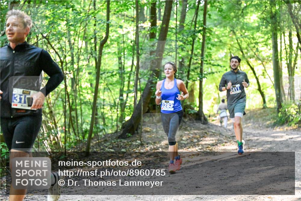 28.09.2025 - 33. Volkslauf durch das schöne Alstertal Dr. Thomas Lammeyer http://msf.ph/oto/8960785 28.09.2025 11:04:47 Laufen 31, 2, 3283 meine-sportfotos.de