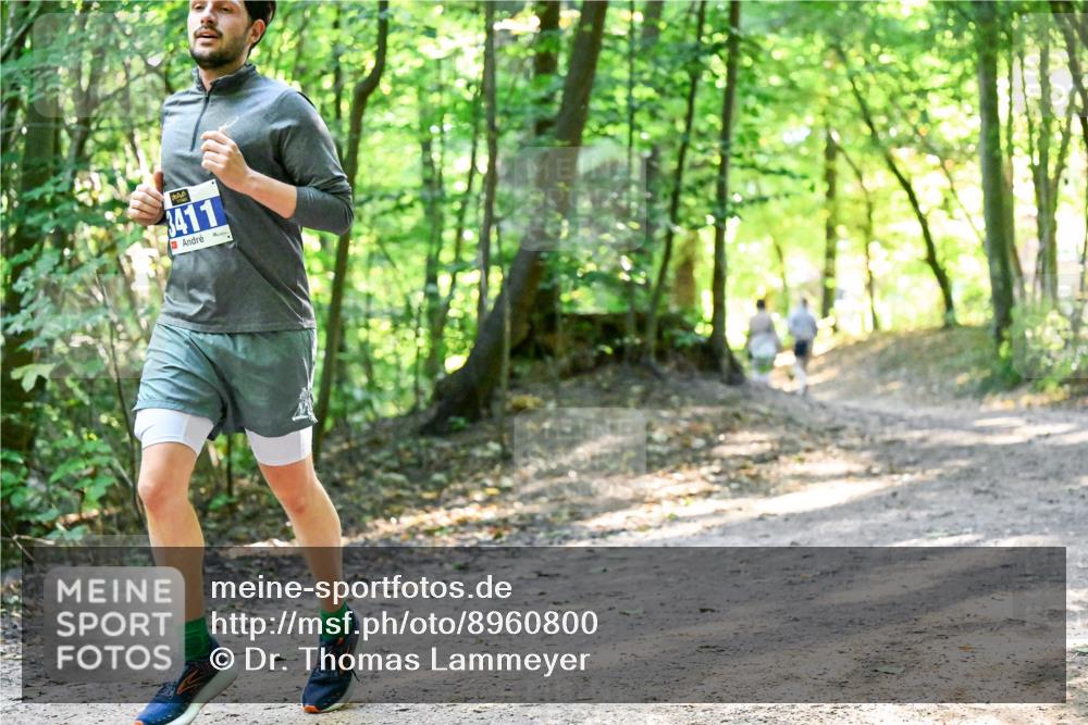28.09.2025 - 33. Volkslauf durch das schöne Alstertal Dr. Thomas Lammeyer http://msf.ph/oto/8960800 28.09.2025 11:04:49 Laufen 3411 meine-sportfotos.de