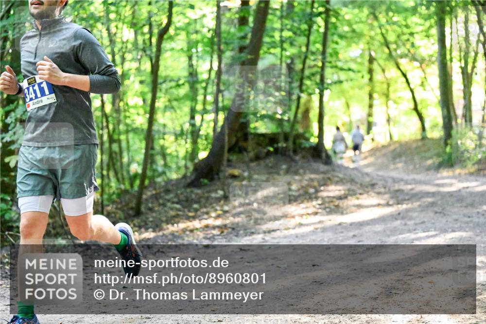 28.09.2025 - 33. Volkslauf durch das schöne Alstertal Dr. Thomas Lammeyer http://msf.ph/oto/8960801 28.09.2025 11:04:49 Laufen 3411 meine-sportfotos.de