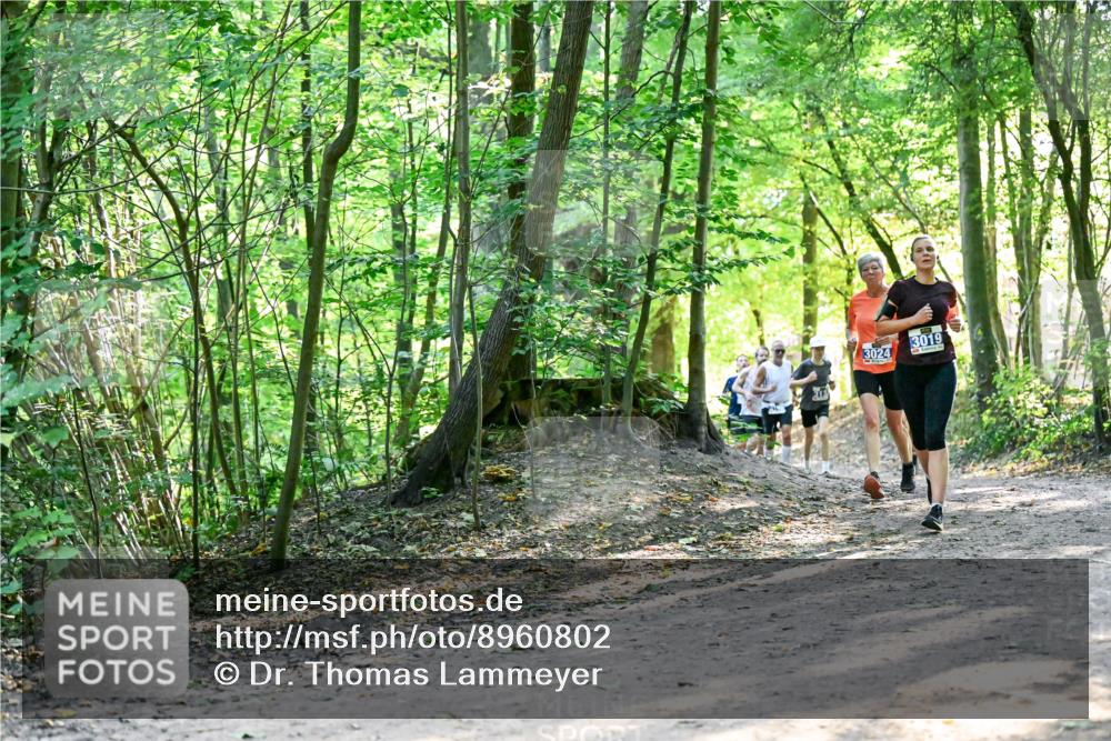 28.09.2025 - 33. Volkslauf durch das schöne Alstertal Dr. Thomas Lammeyer http://msf.ph/oto/8960802 28.09.2025 11:05:08 Laufen 3024, 3019 meine-sportfotos.de