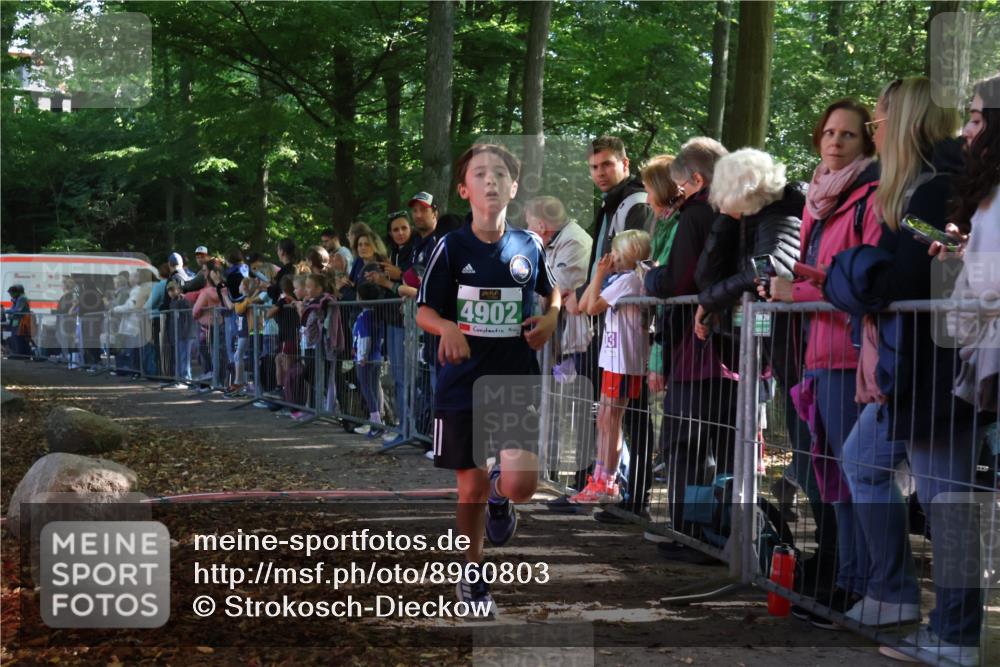 28.09.2025 - 33. Volkslauf durch das schöne Alstertal Strokosch-Dieckow http://msf.ph/oto/8960803 28.09.2025 10:50:40 Ziel 4902 meine-sportfotos.de