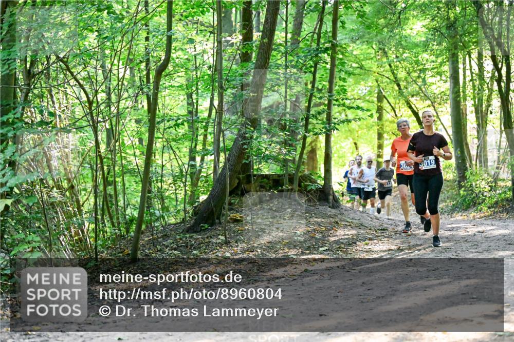 28.09.2025 - 33. Volkslauf durch das schöne Alstertal Dr. Thomas Lammeyer http://msf.ph/oto/8960804 28.09.2025 11:05:08 Laufen 13, 30, 3019 meine-sportfotos.de