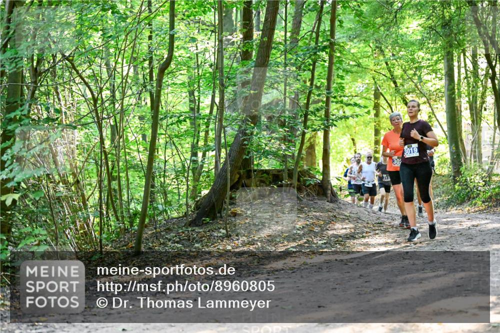 28.09.2025 - 33. Volkslauf durch das schöne Alstertal Dr. Thomas Lammeyer http://msf.ph/oto/8960805 28.09.2025 11:05:08 Laufen 3019, 30 meine-sportfotos.de