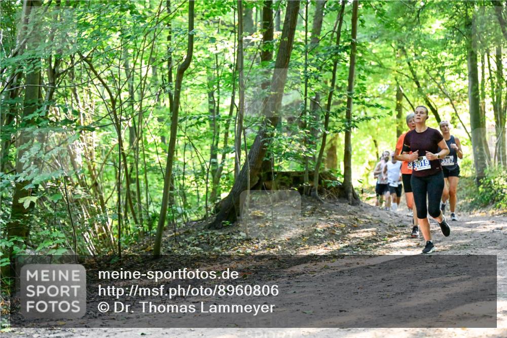 28.09.2025 - 33. Volkslauf durch das schöne Alstertal Dr. Thomas Lammeyer http://msf.ph/oto/8960806 28.09.2025 11:05:08 Laufen 3019, 3367 meine-sportfotos.de