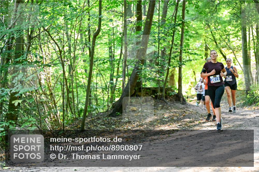 28.09.2025 - 33. Volkslauf durch das schöne Alstertal Dr. Thomas Lammeyer http://msf.ph/oto/8960807 28.09.2025 11:05:08 Laufen 3019, 3367 meine-sportfotos.de