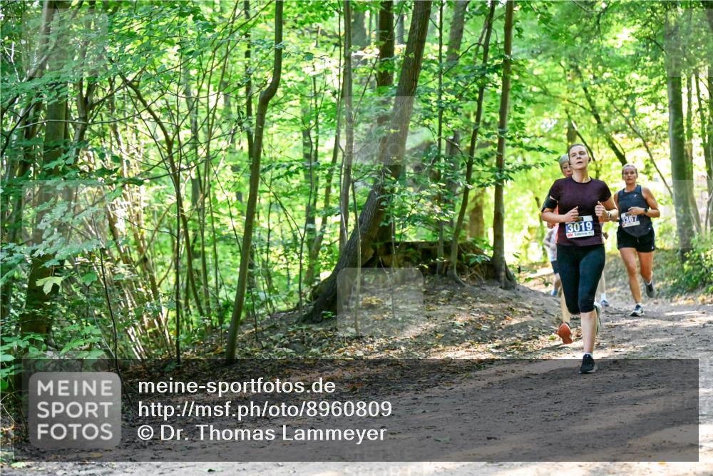 28.09.2025 - 33. Volkslauf durch das schöne Alstertal Dr. Thomas Lammeyer http://msf.ph/oto/8960809 28.09.2025 11:05:08 Laufen 3019, 3367 meine-sportfotos.de