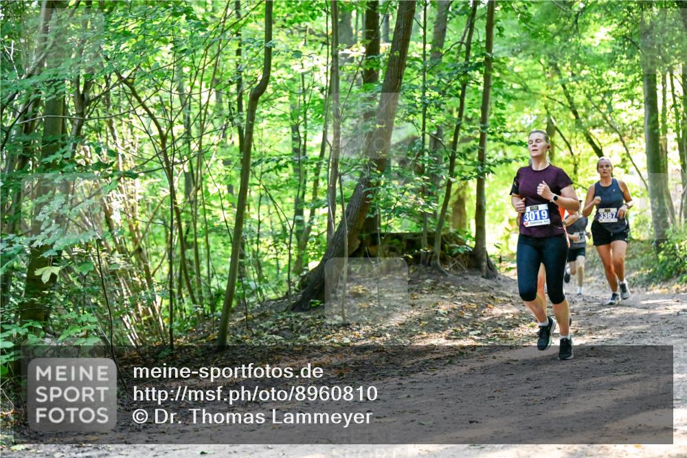 28.09.2025 - 33. Volkslauf durch das schöne Alstertal Dr. Thomas Lammeyer http://msf.ph/oto/8960810 28.09.2025 11:05:08 Laufen 3019, 3367 meine-sportfotos.de