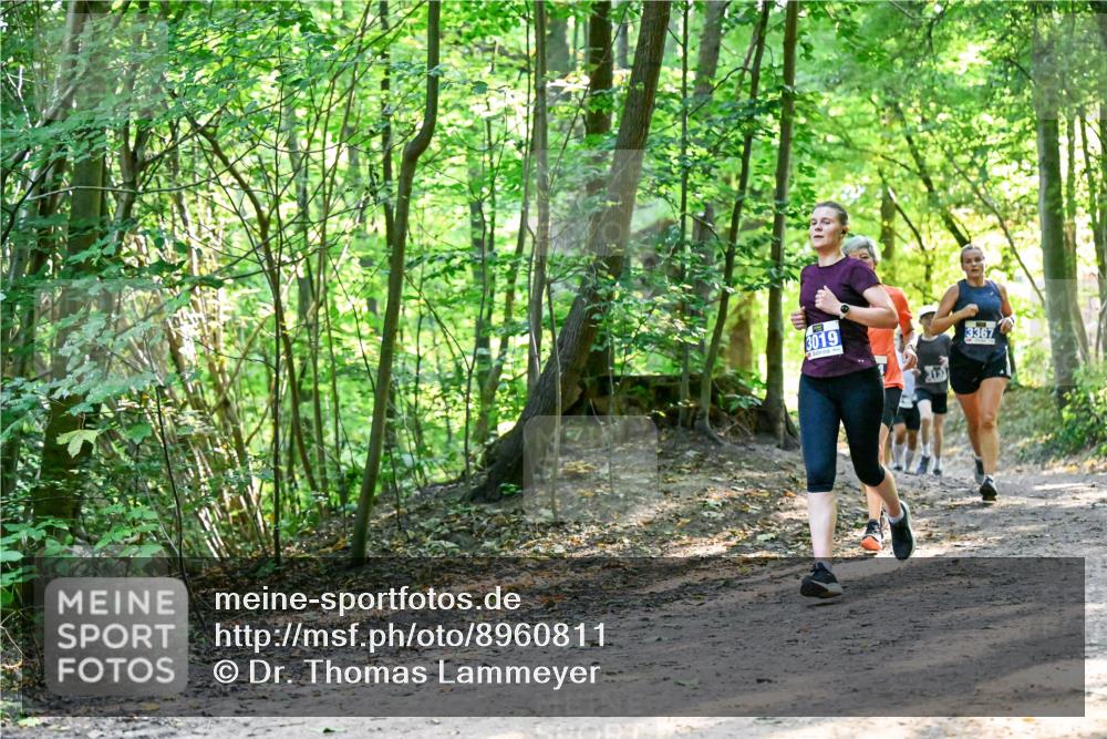 28.09.2025 - 33. Volkslauf durch das schöne Alstertal Dr. Thomas Lammeyer http://msf.ph/oto/8960811 28.09.2025 11:05:09 Laufen 3019, 3367 meine-sportfotos.de