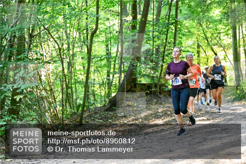 28.09.2025 - 33. Volkslauf durch das schöne Alstertal Dr. Thomas Lammeyer http://msf.ph/oto/8960812 28.09.2025 11:05:09 Laufen 3019, 024, 3367 meine-sportfotos.de
