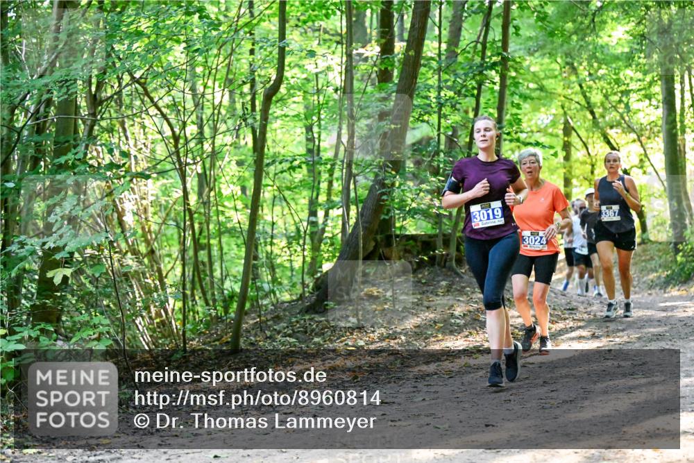 28.09.2025 - 33. Volkslauf durch das schöne Alstertal Dr. Thomas Lammeyer http://msf.ph/oto/8960814 28.09.2025 11:05:09 Laufen 3019, 3024, 3367 meine-sportfotos.de