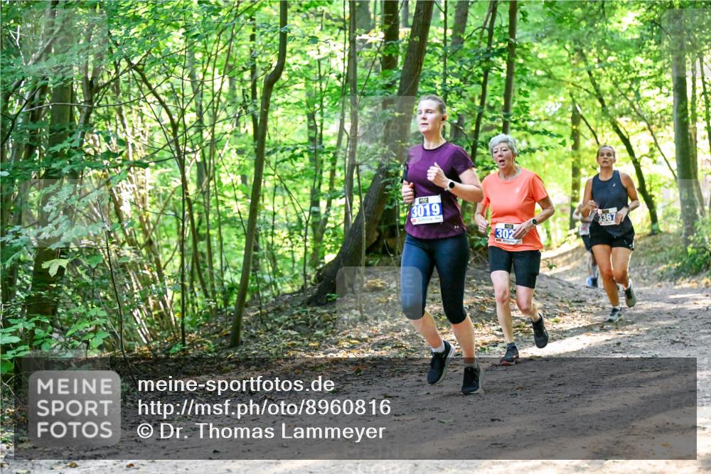 28.09.2025 - 33. Volkslauf durch das schöne Alstertal Dr. Thomas Lammeyer http://msf.ph/oto/8960816 28.09.2025 11:05:09 Laufen 3019, 302, 3367 meine-sportfotos.de