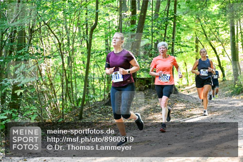 28.09.2025 - 33. Volkslauf durch das schöne Alstertal Dr. Thomas Lammeyer http://msf.ph/oto/8960819 28.09.2025 11:05:09 Laufen 3019, 3024, 3367 meine-sportfotos.de