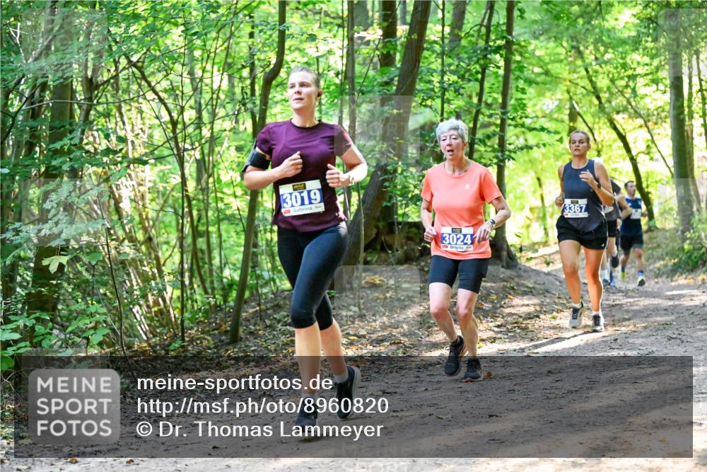 28.09.2025 - 33. Volkslauf durch das schöne Alstertal Dr. Thomas Lammeyer http://msf.ph/oto/8960820 28.09.2025 11:05:10 Laufen 3019, 3024, 3367 meine-sportfotos.de