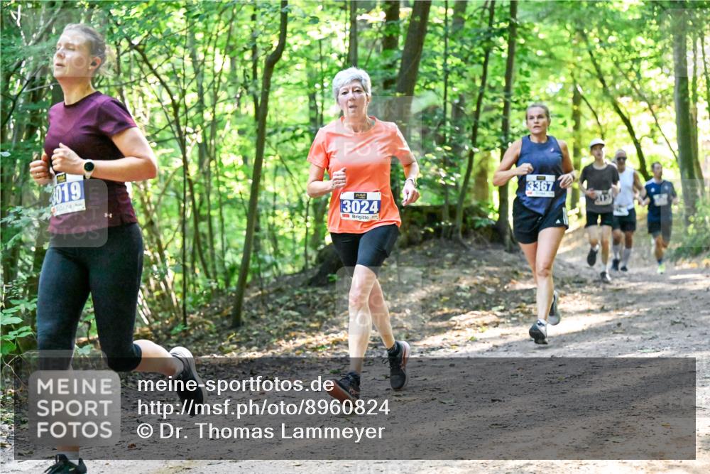 28.09.2025 - 33. Volkslauf durch das schöne Alstertal Dr. Thomas Lammeyer http://msf.ph/oto/8960824 28.09.2025 11:05:10 Laufen 3019, 3024, 3367 meine-sportfotos.de