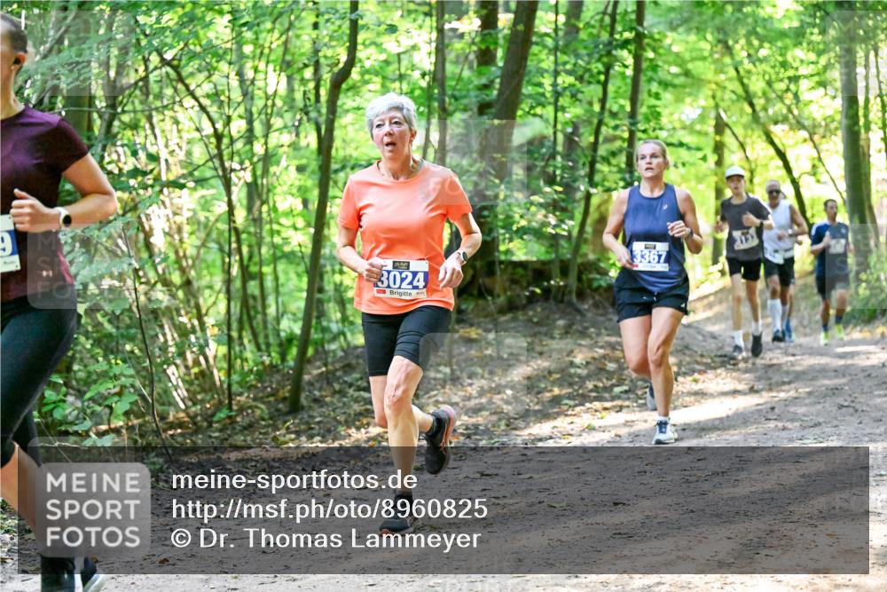 28.09.2025 - 33. Volkslauf durch das schöne Alstertal Dr. Thomas Lammeyer http://msf.ph/oto/8960825 28.09.2025 11:05:10 Laufen 3024, 3367 meine-sportfotos.de