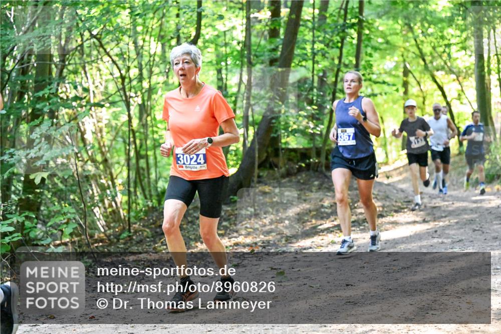28.09.2025 - 33. Volkslauf durch das schöne Alstertal Dr. Thomas Lammeyer http://msf.ph/oto/8960826 28.09.2025 11:05:10 Laufen 3024, 3367 meine-sportfotos.de