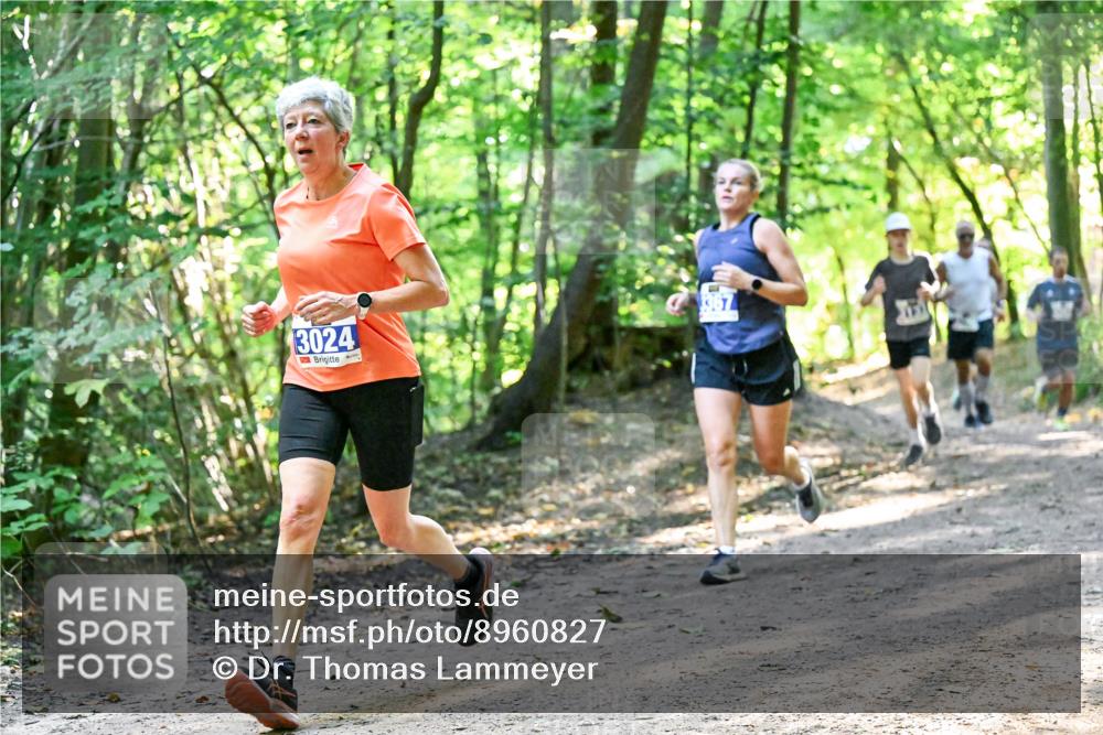 28.09.2025 - 33. Volkslauf durch das schöne Alstertal Dr. Thomas Lammeyer http://msf.ph/oto/8960827 28.09.2025 11:05:10 Laufen 3024 meine-sportfotos.de