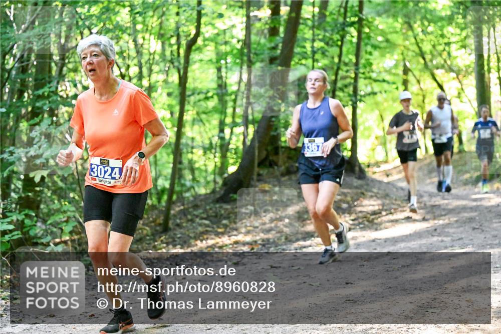 28.09.2025 - 33. Volkslauf durch das schöne Alstertal Dr. Thomas Lammeyer http://msf.ph/oto/8960828 28.09.2025 11:05:11 Laufen 3024, 3367 meine-sportfotos.de