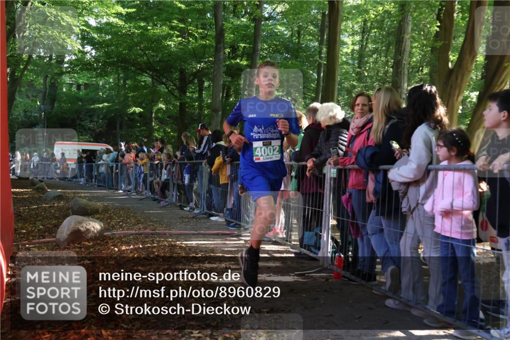 28.09.2025 - 33. Volkslauf durch das schöne Alstertal Strokosch-Dieckow http://msf.ph/oto/8960829 28.09.2025 10:50:50 Ziel 4002, 4100 meine-sportfotos.de