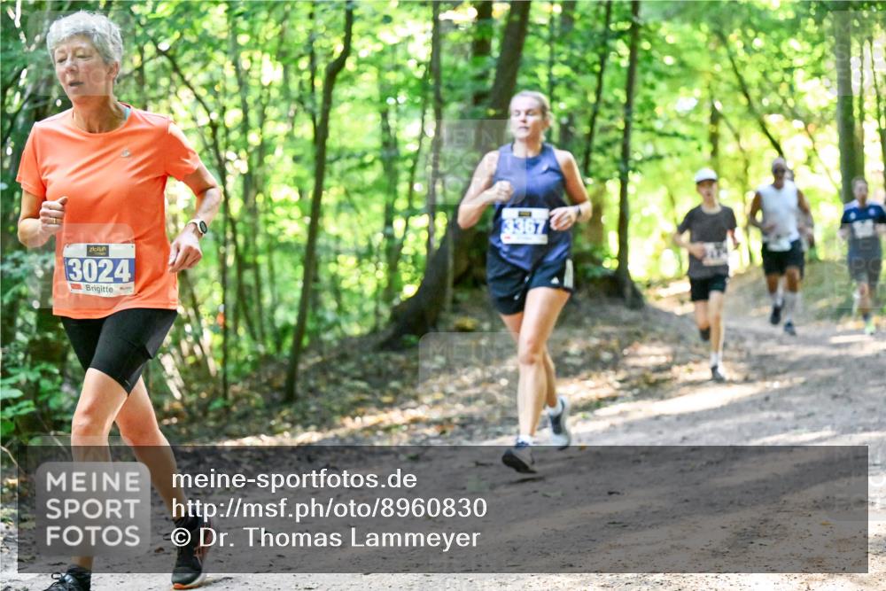 28.09.2025 - 33. Volkslauf durch das schöne Alstertal Dr. Thomas Lammeyer http://msf.ph/oto/8960830 28.09.2025 11:05:11 Laufen 3024 meine-sportfotos.de