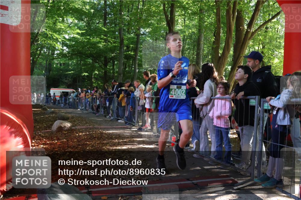 28.09.2025 - 33. Volkslauf durch das schöne Alstertal Strokosch-Dieckow http://msf.ph/oto/8960835 28.09.2025 10:50:50 Ziel 4002, 4100 meine-sportfotos.de