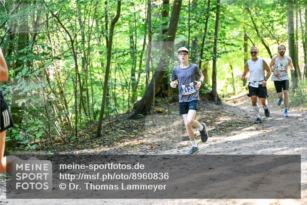 28.09.2025 - 33. Volkslauf durch das schöne Alstertal Dr. Thomas Lammeyer http://msf.ph/oto/8960836 28.09.2025 11:05:12 Laufen 3133, 3190, 3046 meine-sportfotos.de